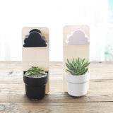 Clouds Automatic Water Succulent Plants Flower pot Home Office Decoration Balcony Decorative Potted Plastic Hanging Garden Pot